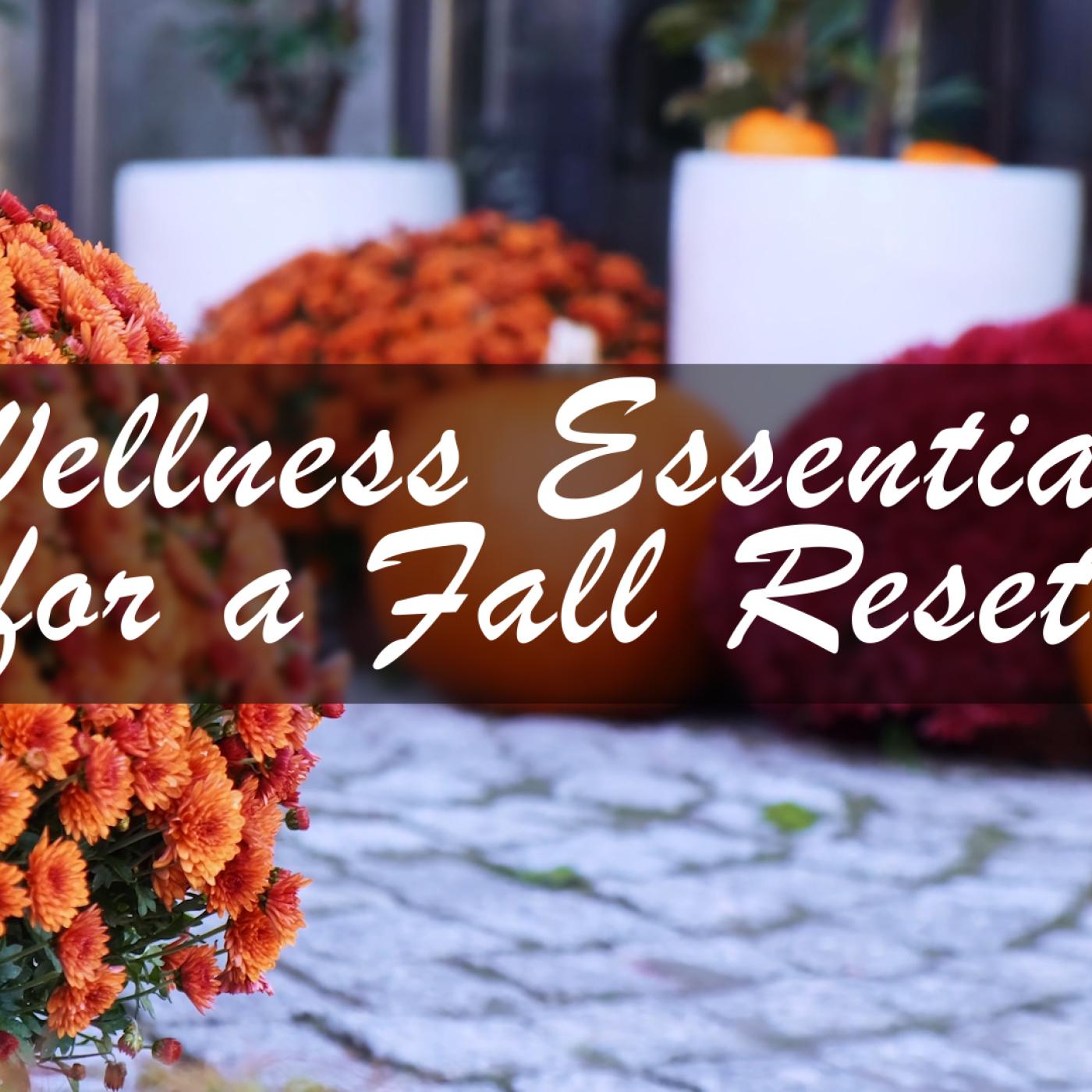 Wellness Essentials for a Healthy Fall Reset