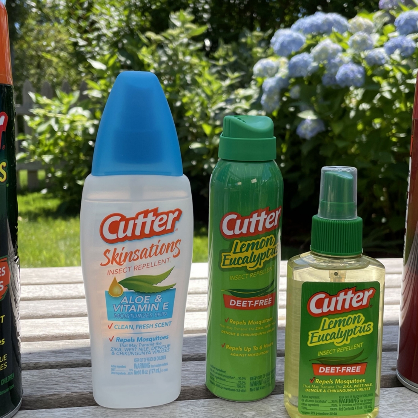 Enjoy the Outdoors Critter-Free This Summer episode artwork