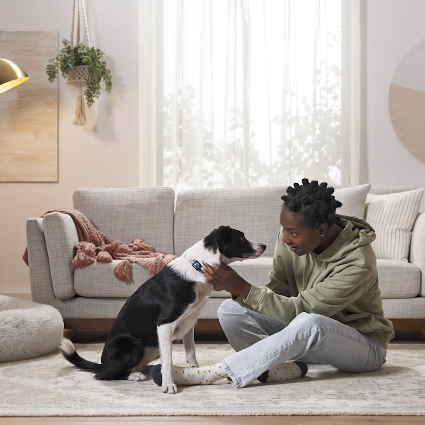 Pet Parenting 101: Preparing for Unexpected Costs of Care episode artwork