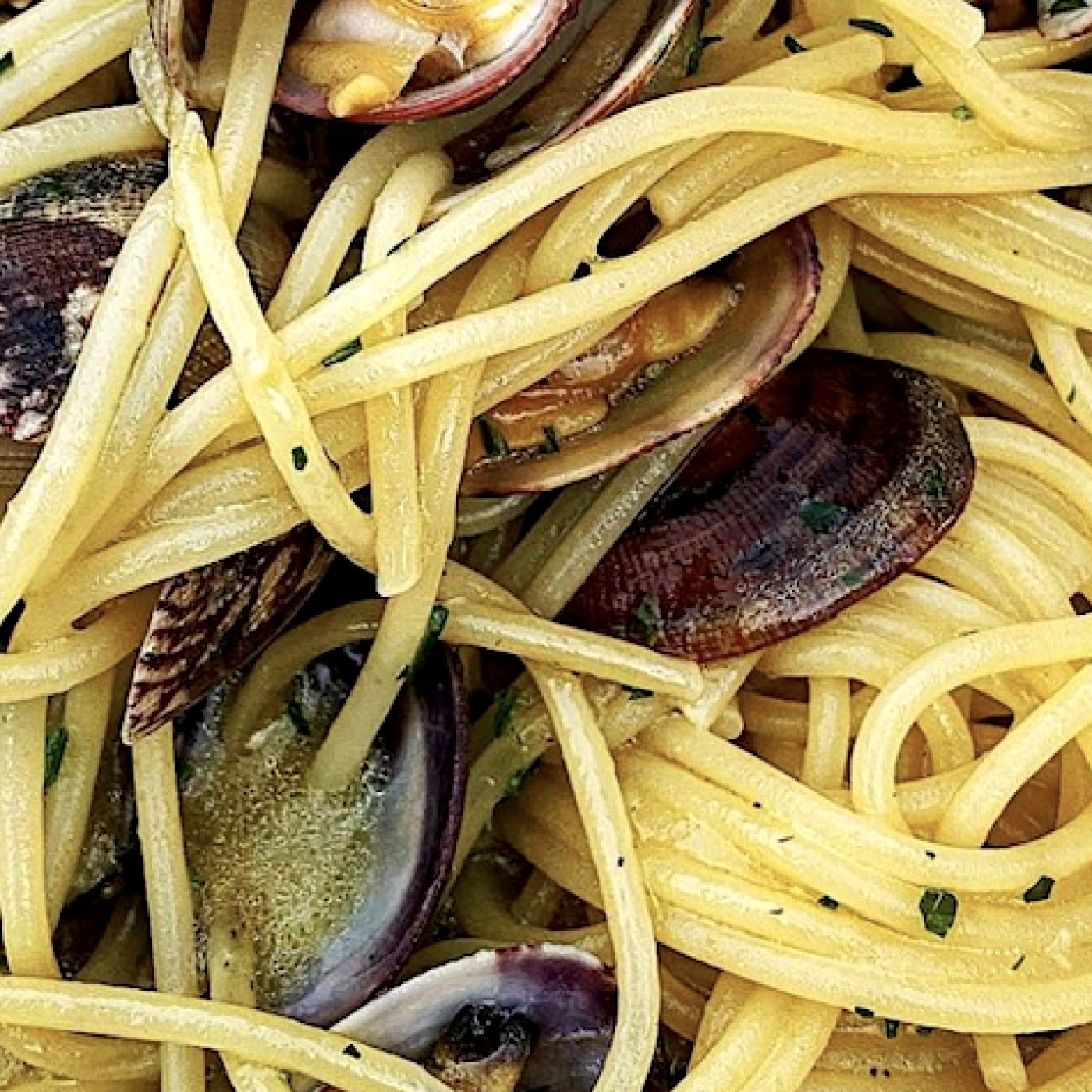 Debi Mazar and Hubby Gabriele Corcos' Family Go-to Meal is Spaghetti episode artwork