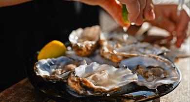 National Oyster Day is celebrated