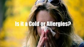 Is it a Cold or Allergies? Here’s What You Need to Know