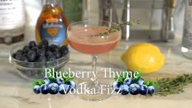 Blueberry Thyme Vodka Fizz