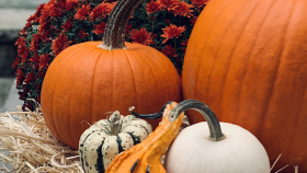 Fall for Fall with Fun Activities for the Season