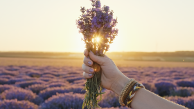 Lavender Is One of Spring 2024’s Biggest Trends