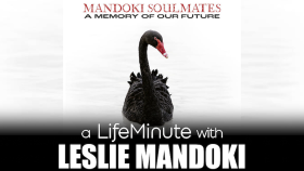 Musician Leslie Mandoki and His Mandoki Soulmates Deliver Love Letter to Music Enthusiasts with New Album, A Memory Of Our Future