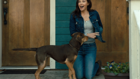 New Movie A Dog s Way Home Stars Ashley Judd and Bryce Dallas Howard