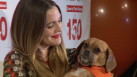 Drew Barrymore Nathan Lane and Martha Stewart Help the ASPCA Celebrate 150 Years Of Service To Animals