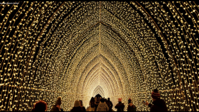 Top Places to See Stunning Christmas Light Displays