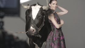 Dressbarn Launches Fun Fall Ad Campaign with Hilary Rhoda and Patrick Demarchelier