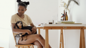 Keep Your Pets and Household Healthy and Safe