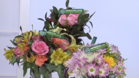 2016 Mothers Day Must-Haves