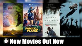 New Movies: Wicked: For Good, The Family Plan 2, Good Boy, and Train Dreams