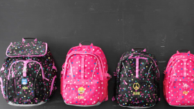 Lands' End Backpack
