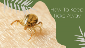 How To Keep Ticks Away